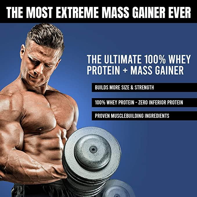 MuscleTech Performance Series Mass Tech Extreme 2000 ( Post-Workout Mass Gainer ) - Vitaminberry.com