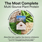 Wellbeing Nutrition Organic Vegan Plant Protein Isolate