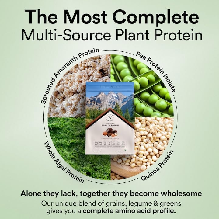 Wellbeing Nutrition Organic Vegan Plant Protein Isolate