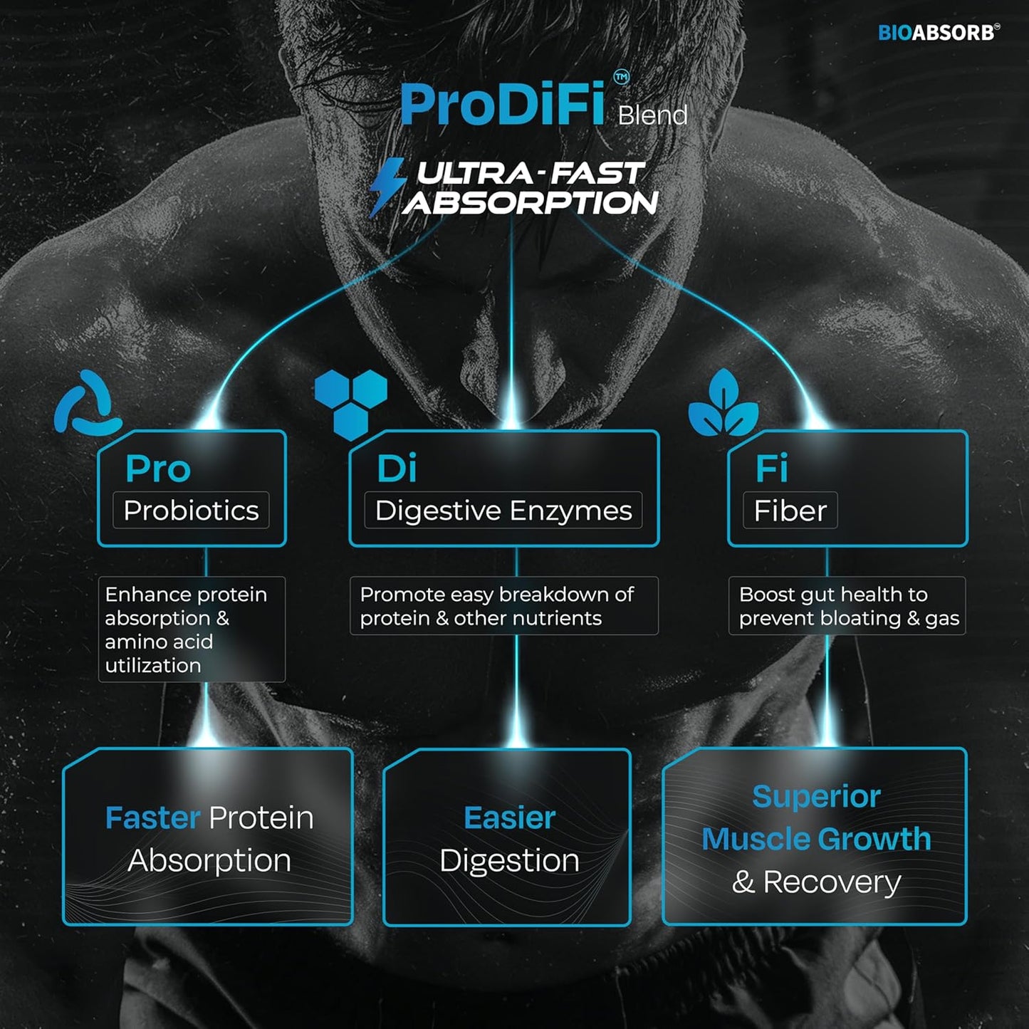 Nutrabay BioAbsorb Whey Protein